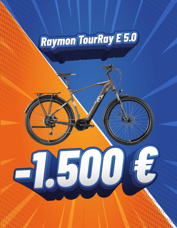 Raymon TourRay E 5.0